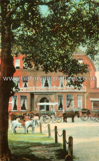 The Kings Oak, High Beech, Epping Forest, Essex. c.1909